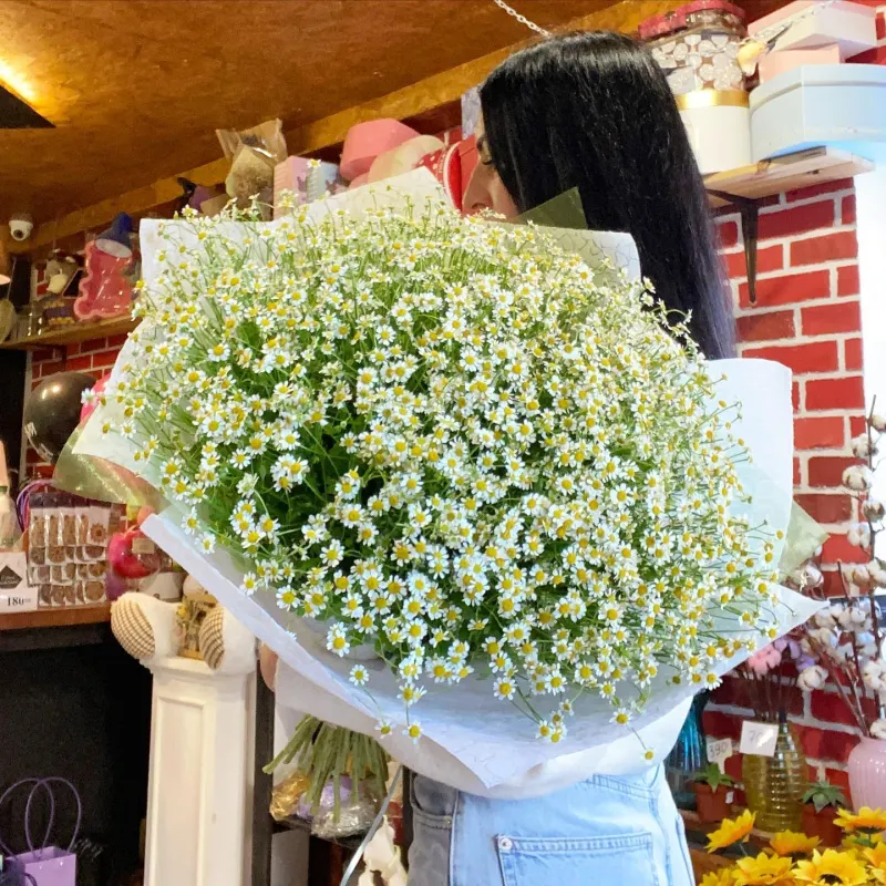 Buchet mare de flori de mușețel «Jumiliya»