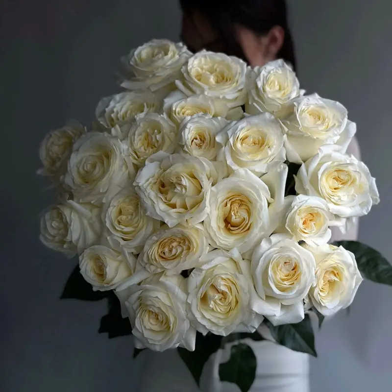 Trandafir cu floare de bujor Candlelight "Elegant"