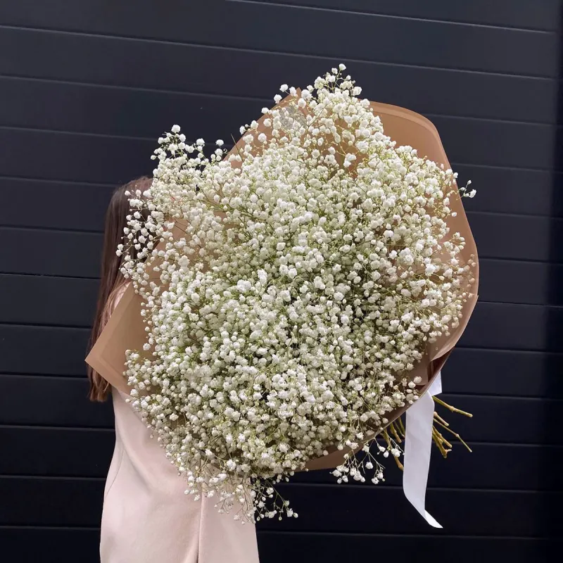 Buchet voluminos de gypsophila "Magnetic Flo"