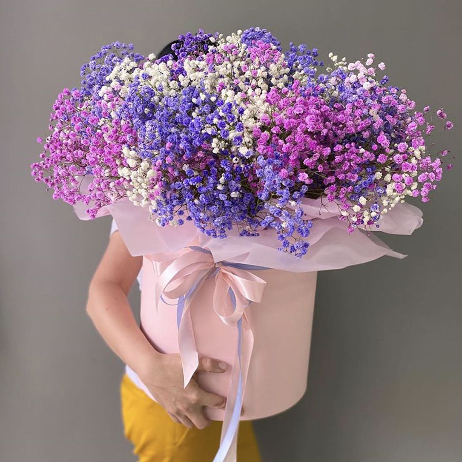 Mix curcubeu de gypsophila "Still Life VII"