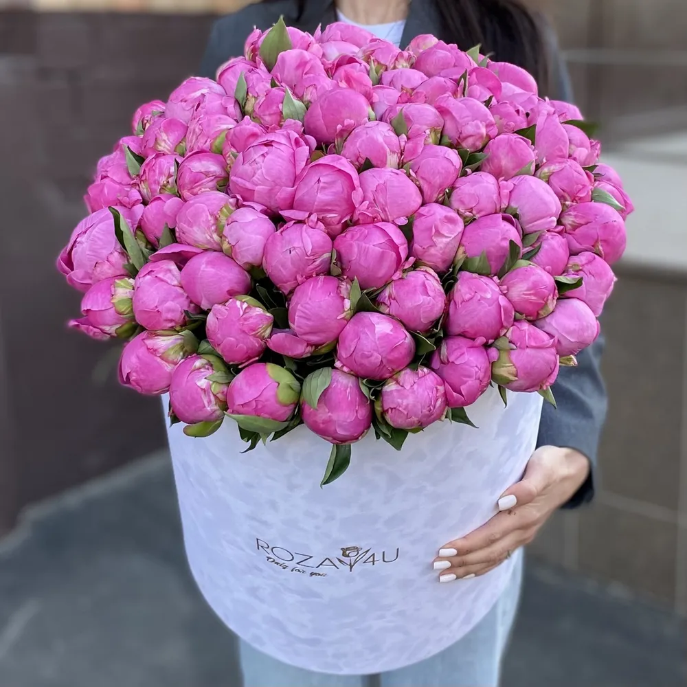 101 bujori în cutie