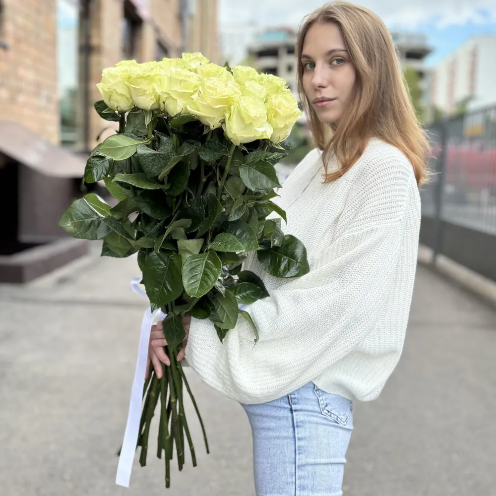 15 albi trandafiri 80