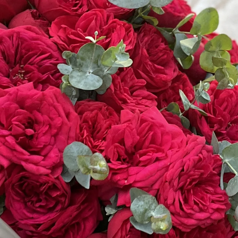 Imagine principală produs floral
