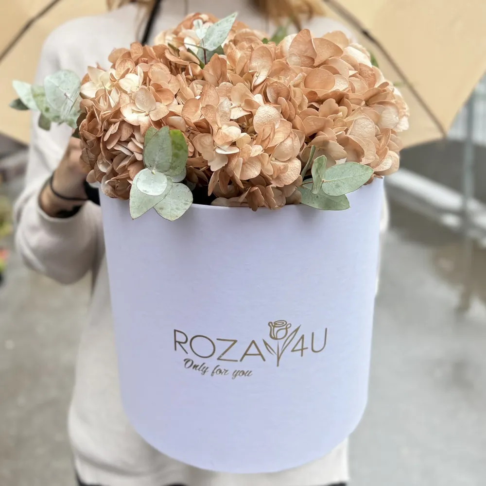 3 hortensii cu eucalipt în cutie