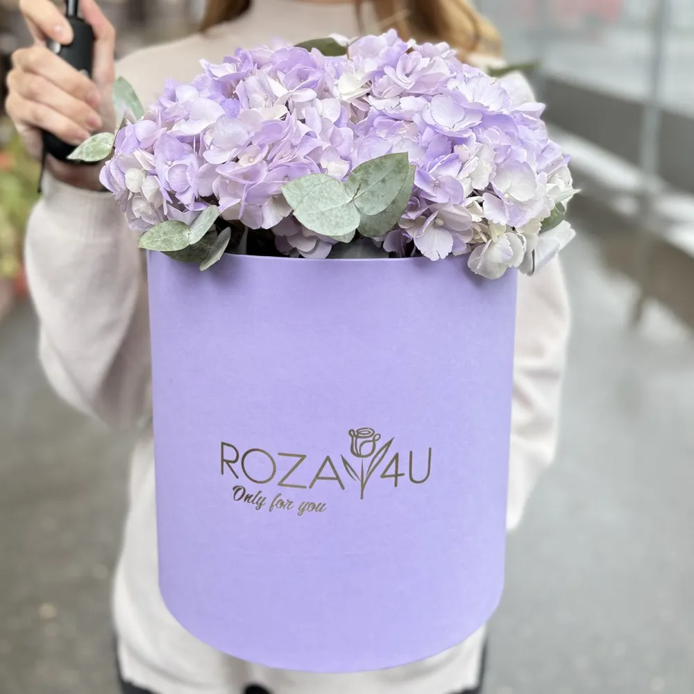 3 hortensii cu eucalipt în cutie