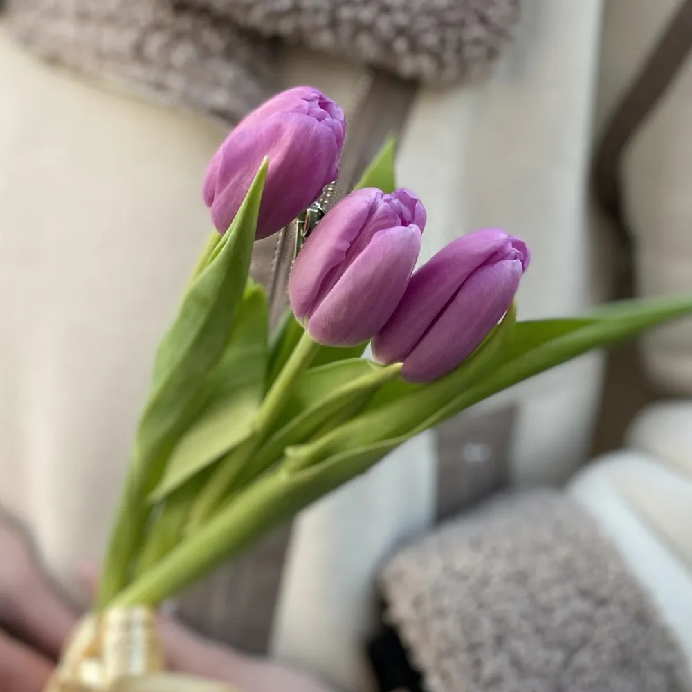 Bouquet of 3 tulips