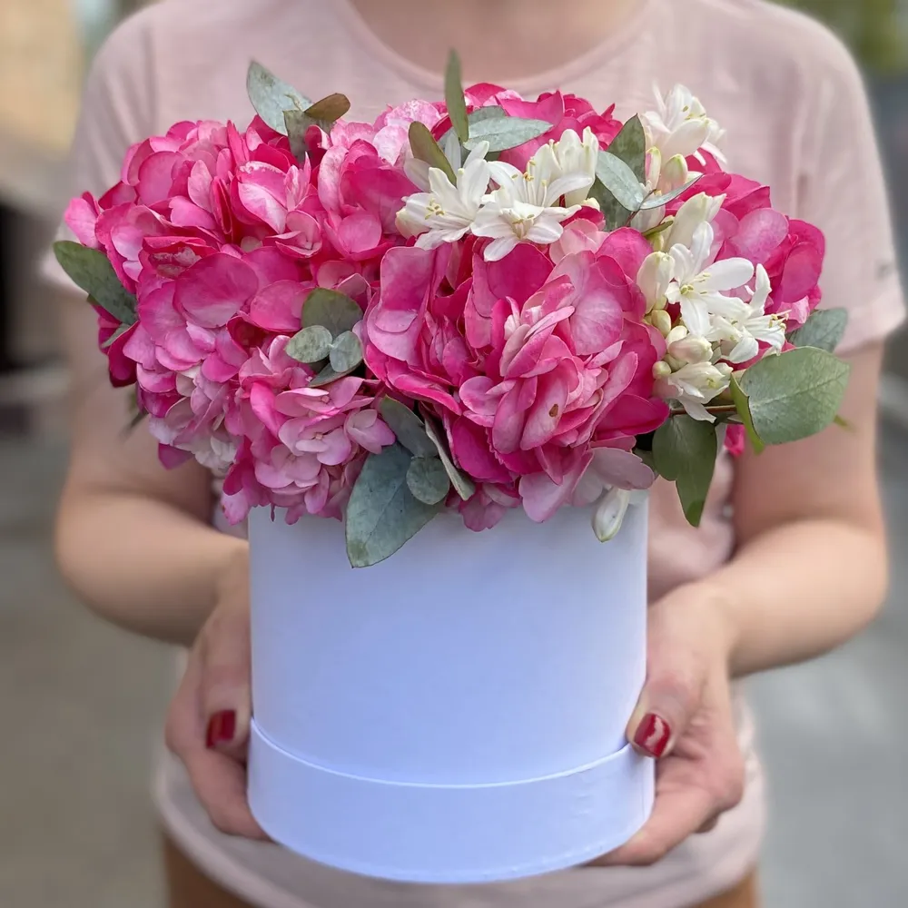 3 hortensii în cutie