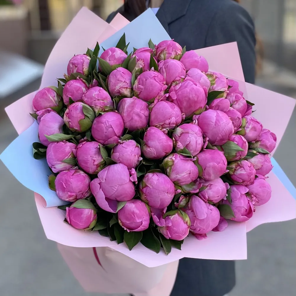 45 roz bujori