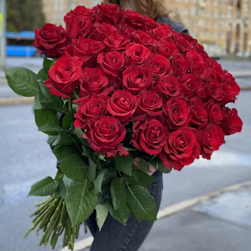 51 roșii trandafiri 80