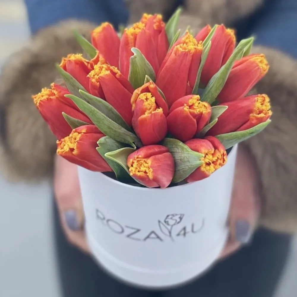 51 roșii - galbeni lalele în cutie