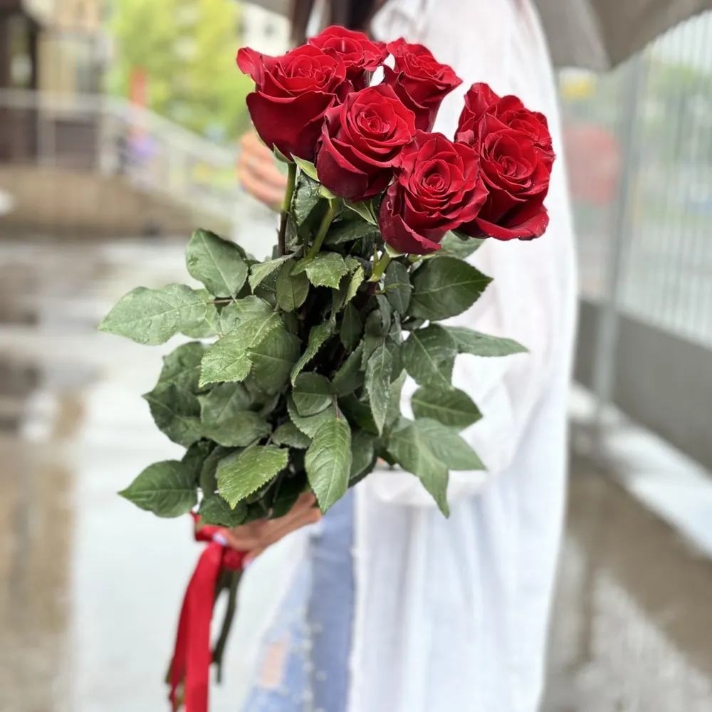 7 roșii trandafiri 80