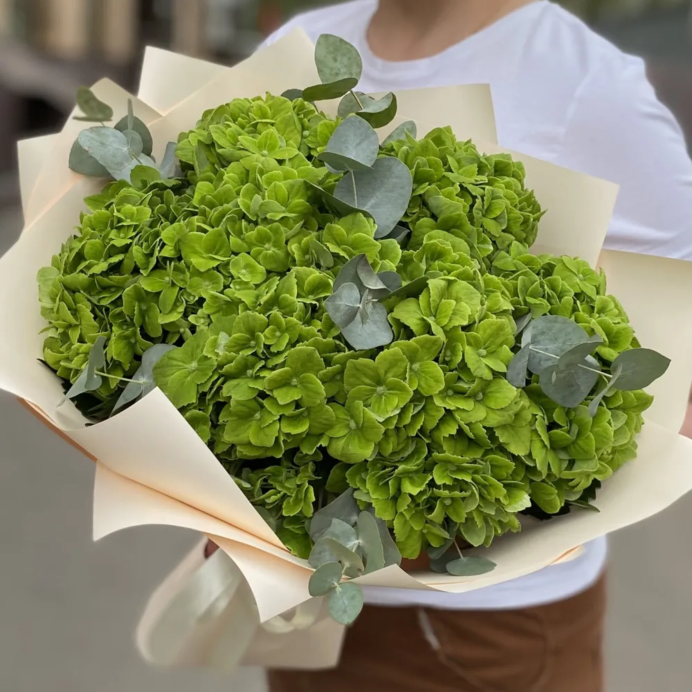 7 hortensii cu eucalipt