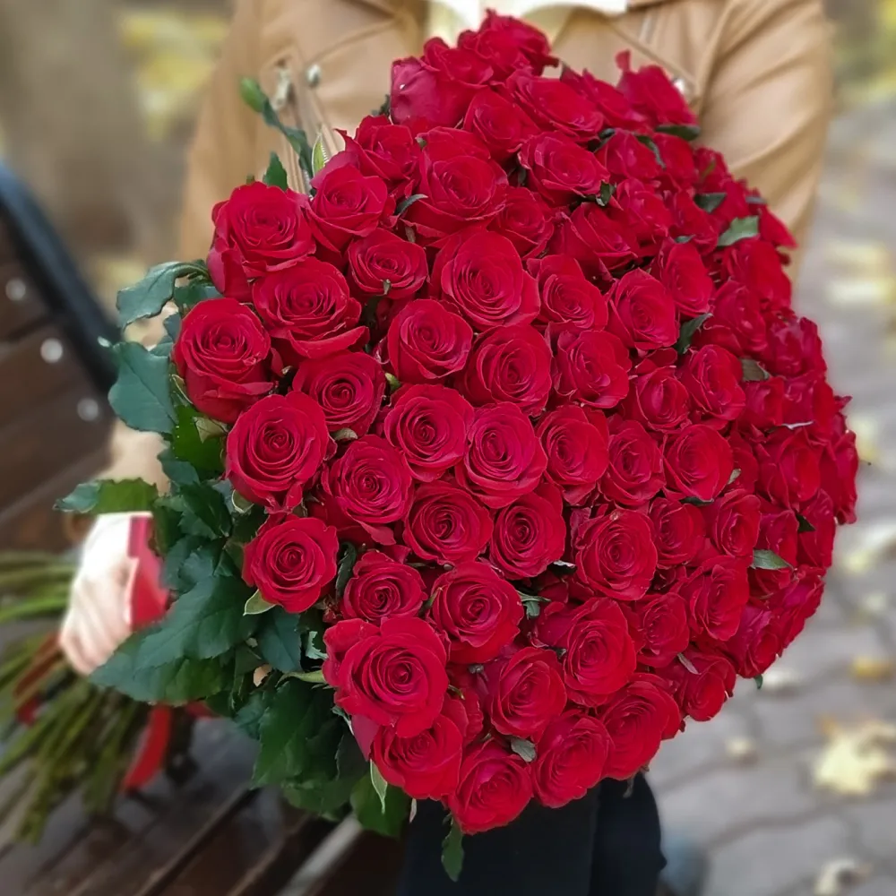 75 roșii trandafiri 70