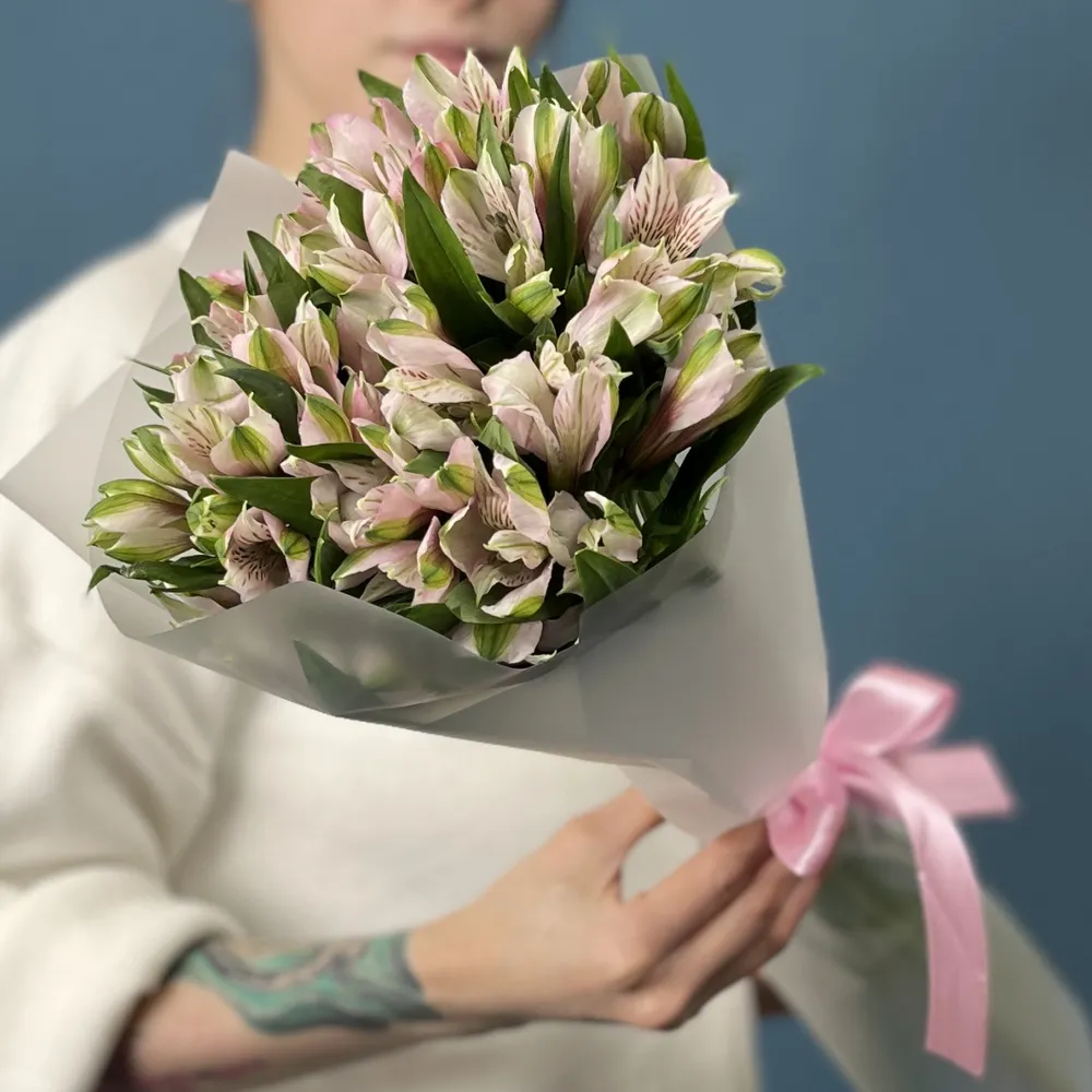 9 albi - roz