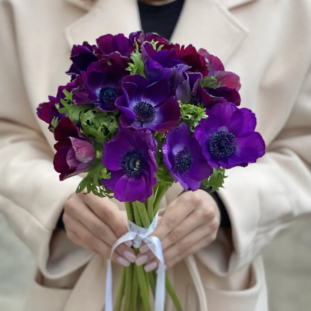 Violet visinii