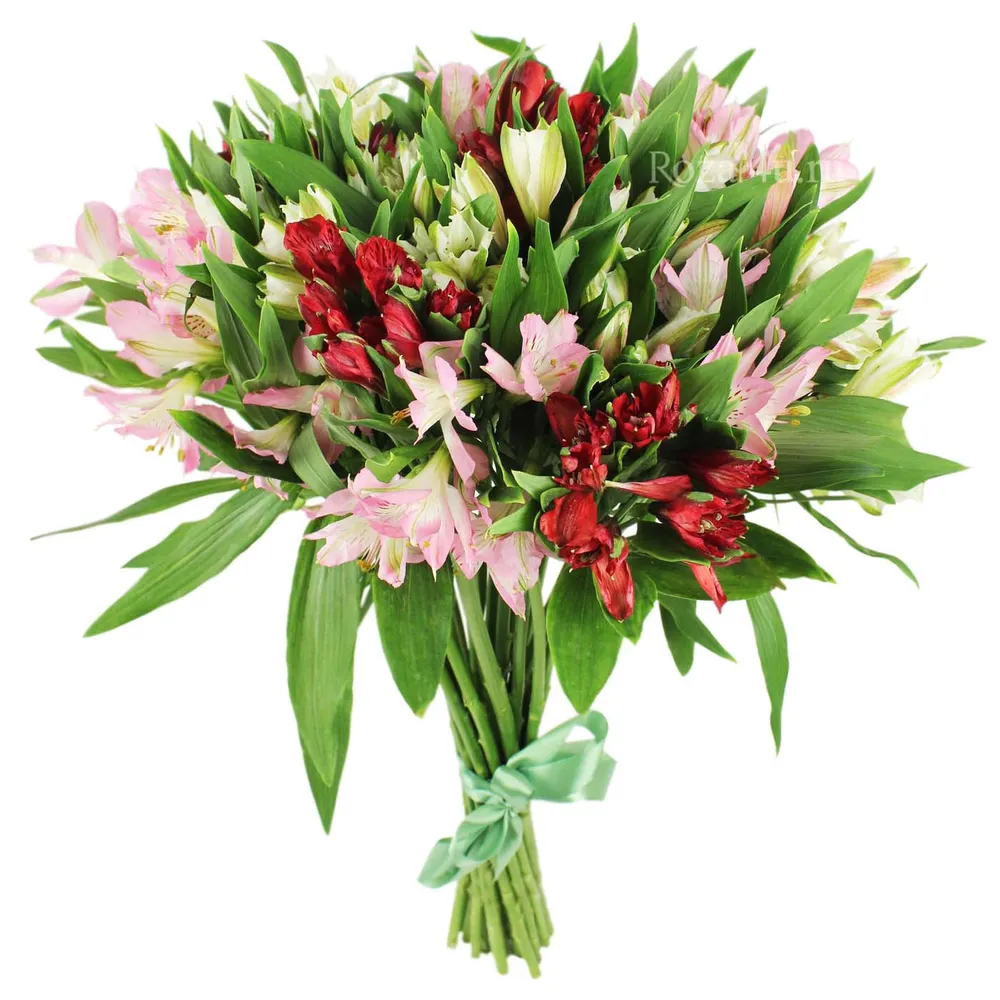 Buchet