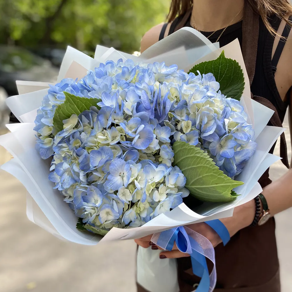 Buchet albaștri deschis hortensii