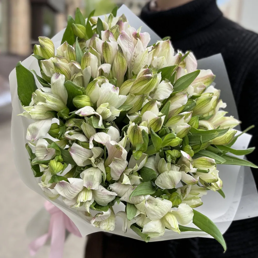 15 Buchet 15 albi - violet