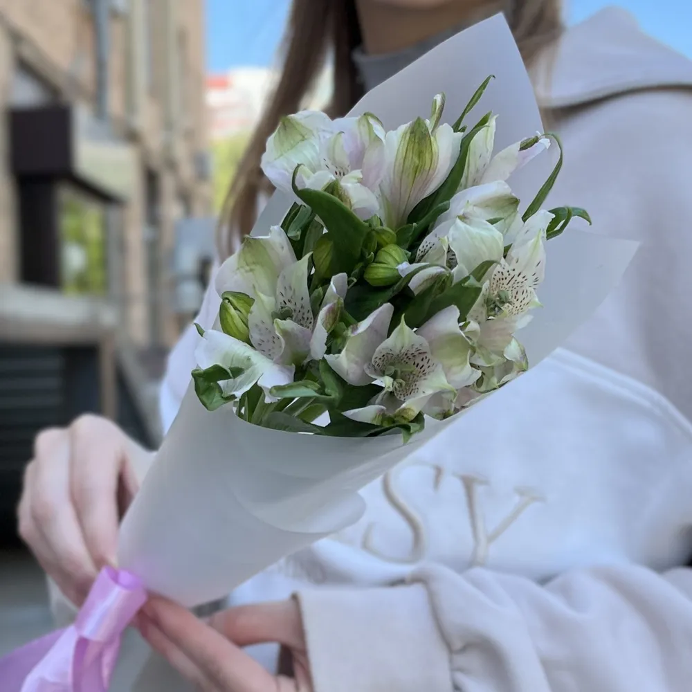3 Buchet 3 albi - violet