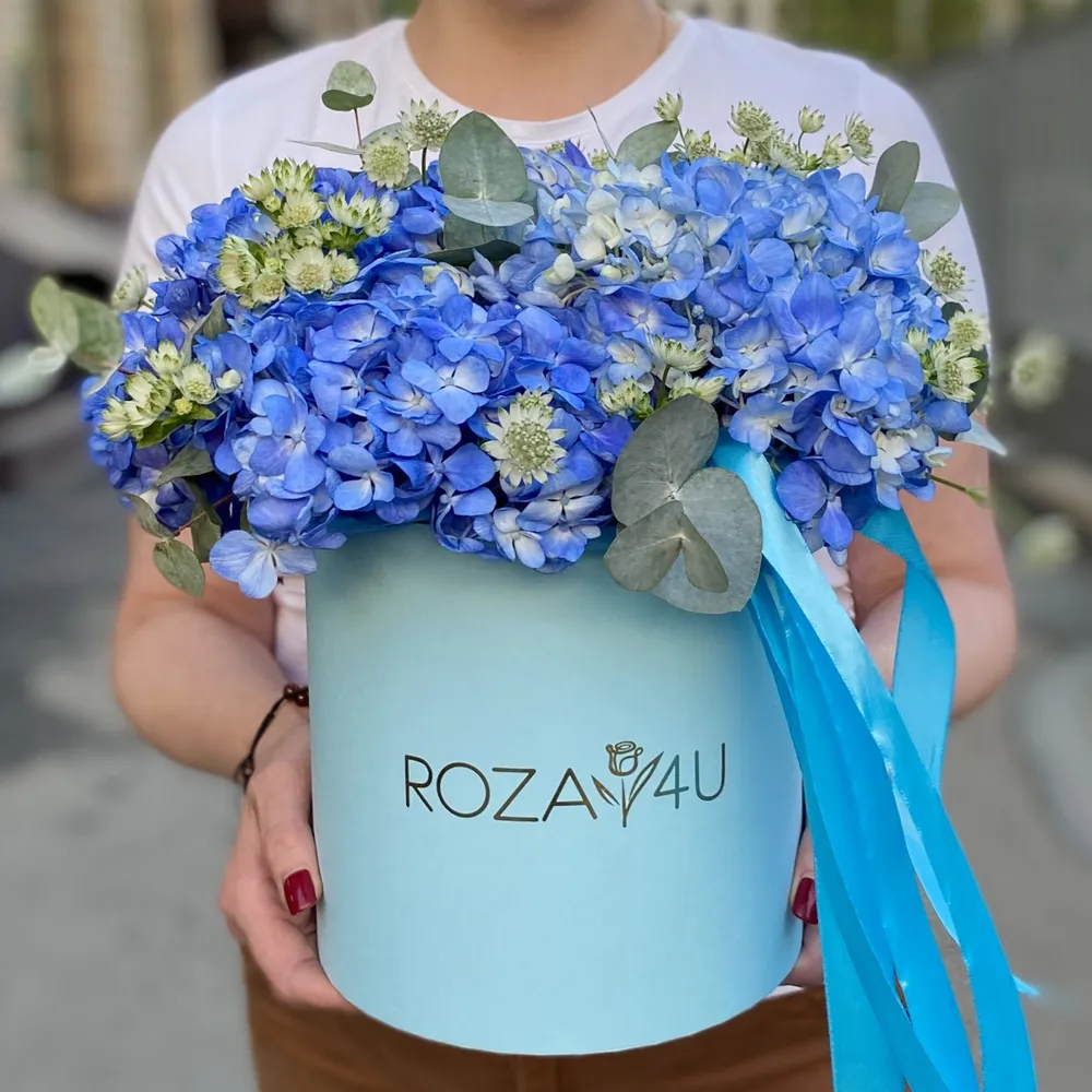 Hortensii cu eucalipt în cutie