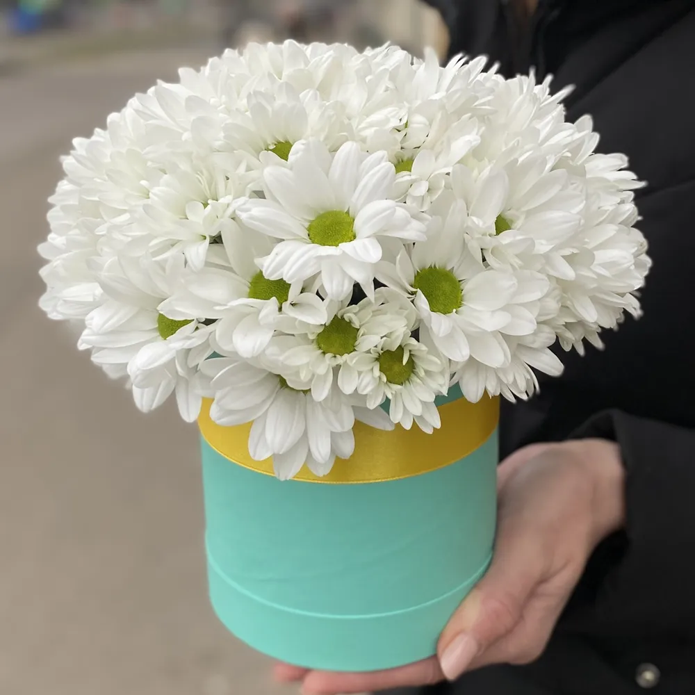 Bouquet of chrysanthemums