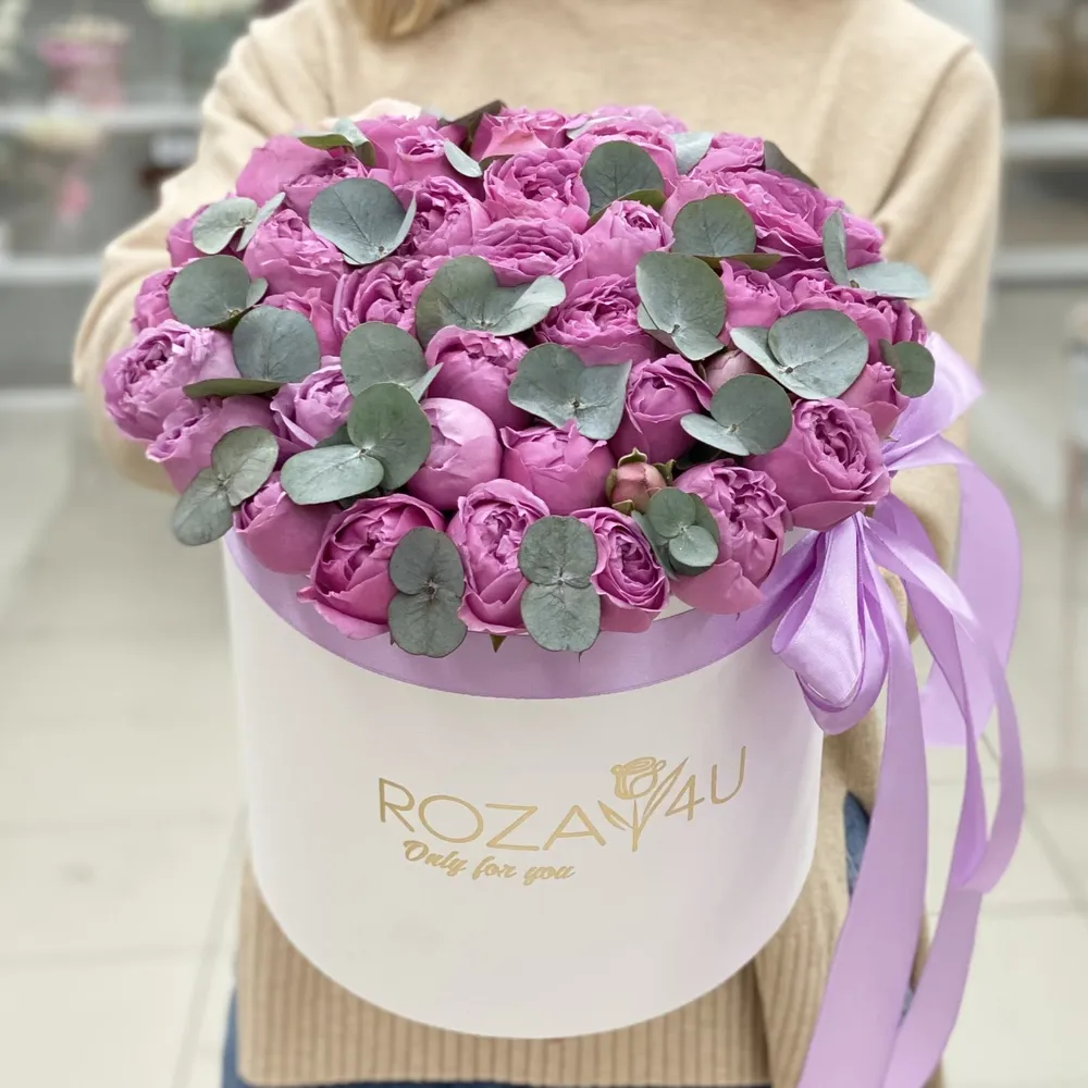Cu eucalipt în cutie