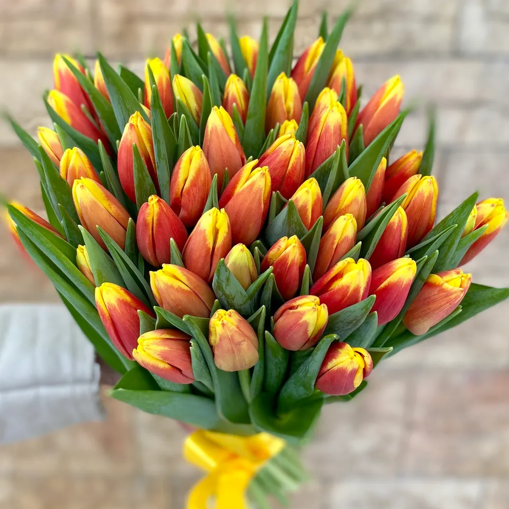 Imagine principală produs floral